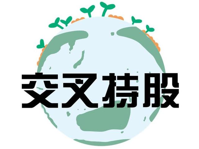 交叉持股安排设计(交叉持股怎么计算持股比例)濮阳市