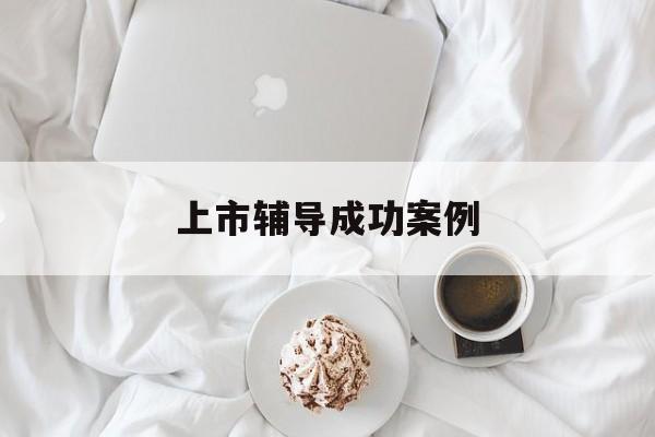上市辅导成功案例(上市辅导成功后肯定会上市吗)濮阳市